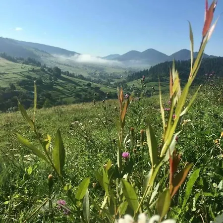 Holiday home гірська домівка Volosyanka (Lviv)