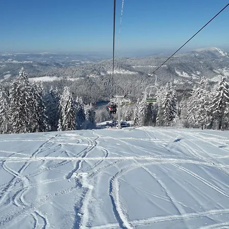 Holiday home гірська домівка *